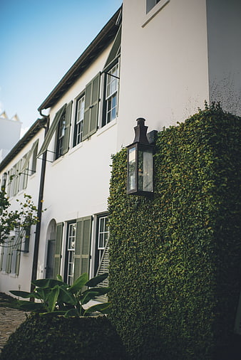 White building facade with green shutters and ivy wall