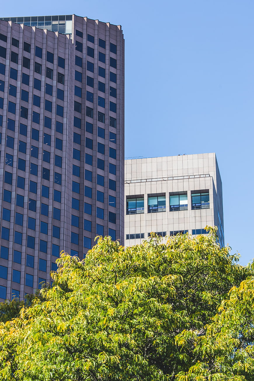 Modern Office Buildings with Green Trees and Blue Sky