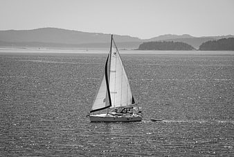 Black and white sailboat on sparkling ocean water
