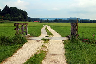Gravel Path Through Green Meadow with Wooden Gate