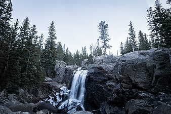 Serene Waterfall Cascading Over Rocks in Pine Forest