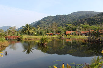 Tropical landscape with calm lake, palm trees, and forested mountains