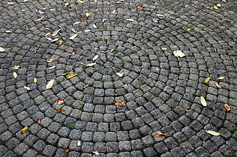 Autumn Leaves Scattered On Gray Cobblestone Paving Pattern