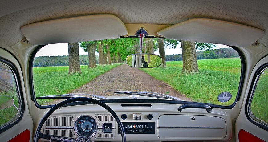 Interior view of classic VW Beetle driving down tree-lined country road