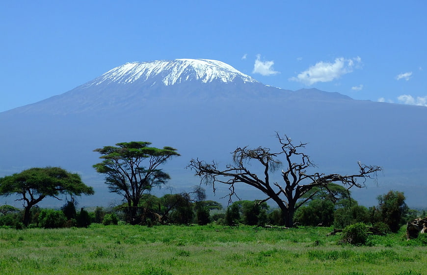Snow-capped Mount Kilimanjaro with acacia trees in African savannah