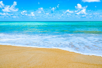 Tropical Beach with Turquoise Water and Blue Sky