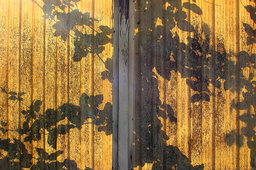 Leaf Shadows on Yellow Corrugated Metal Wall