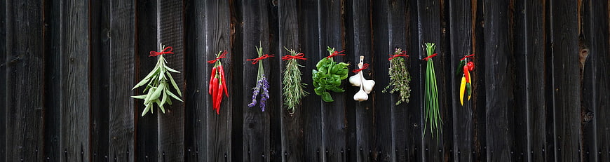 Fresh Herbs And Spices Hanging On Dark Rustic Wooden Fence