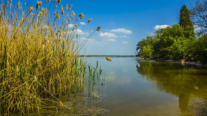Serene Lake Landscape with Reeds and Blue Sky