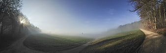 Panoramic Misty Forest Path at Sunrise