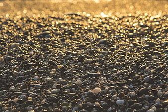 Golden sunlight reflecting on wet pebbles at the beach