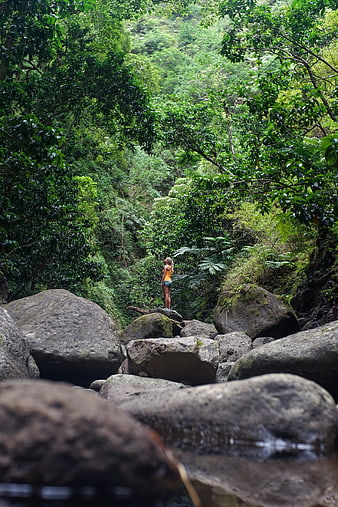Woman standing on rocks in lush green tropical forest