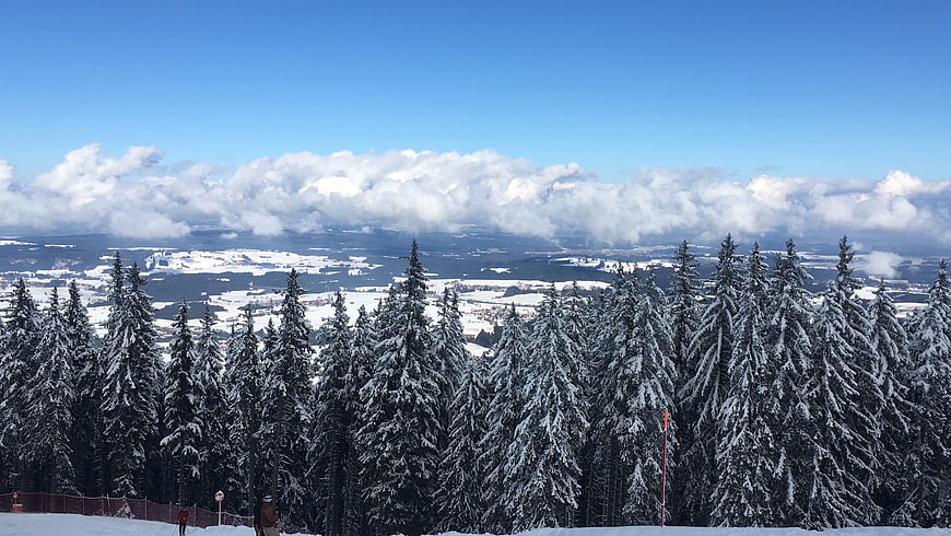 Snowy Pine Forest Landscape with Clouds and Mountains