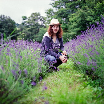 Woman in straw hat harvesting lavender in a field