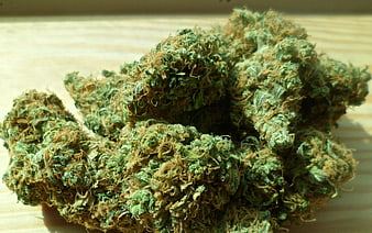 Close-up of dried cannabis buds on wooden surface