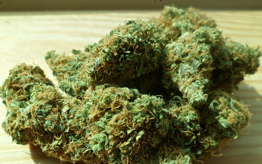 Close-up of dried cannabis buds on wooden surface