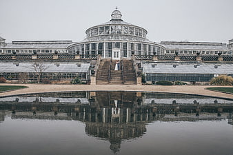 Couple embracing on steps of grand glass conservatory with reflection