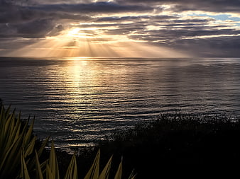 Dramatic Sun Rays Over Ocean at Sunset with Foreground Foliage
