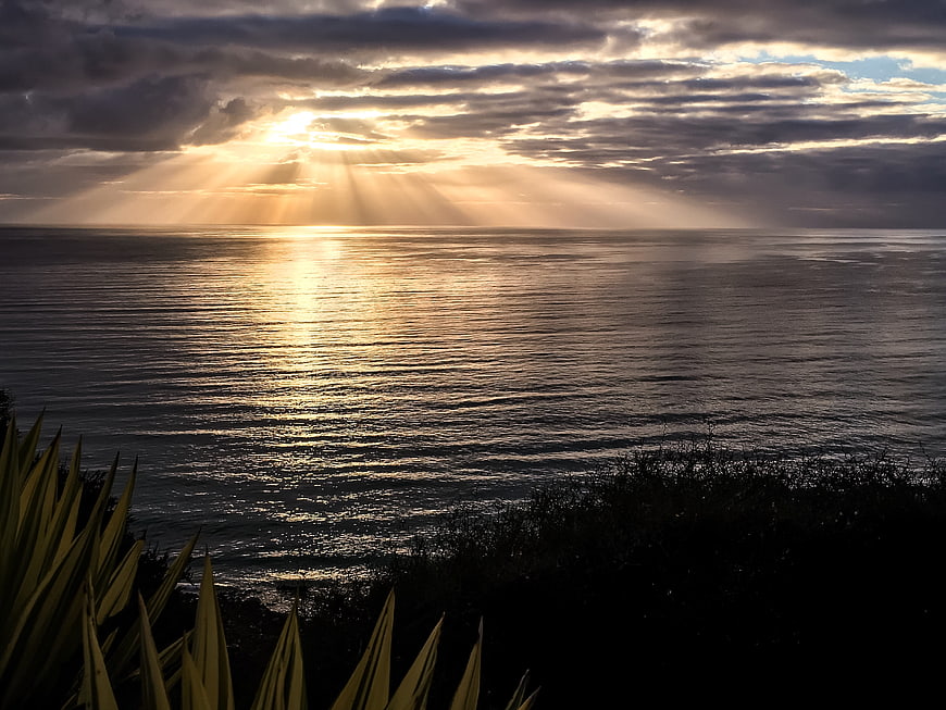 Dramatic Sun Rays Over Ocean at Sunset with Foreground Foliage