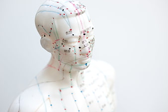 Acupuncture Meridian Map on White Anatomical Head Model