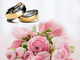 Gold and Silver Wedding Rings with Pink Ranunculus Flowers