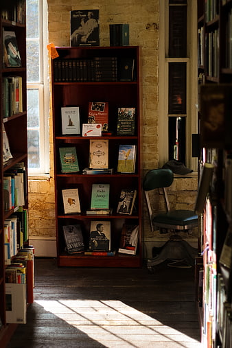 Sunlit Bookshelf in Cozy Library Interior