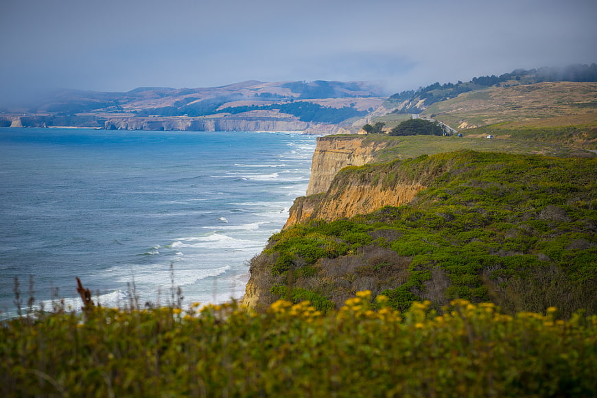 Scenic coastal cliffs with ocean waves and yellow wildflowers