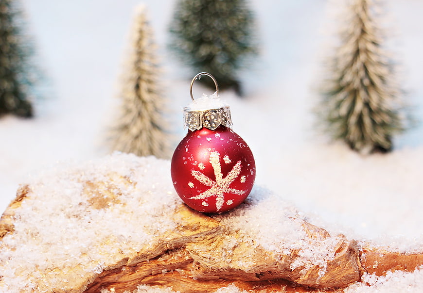Red Christmas Ornament on Snowy Wood with Blurred Winter Trees