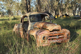 Rusty vintage International truck abandoned in overgrown field