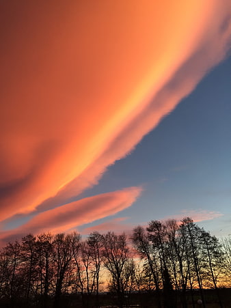 Dramatic orange sunset clouds over silhouetted trees