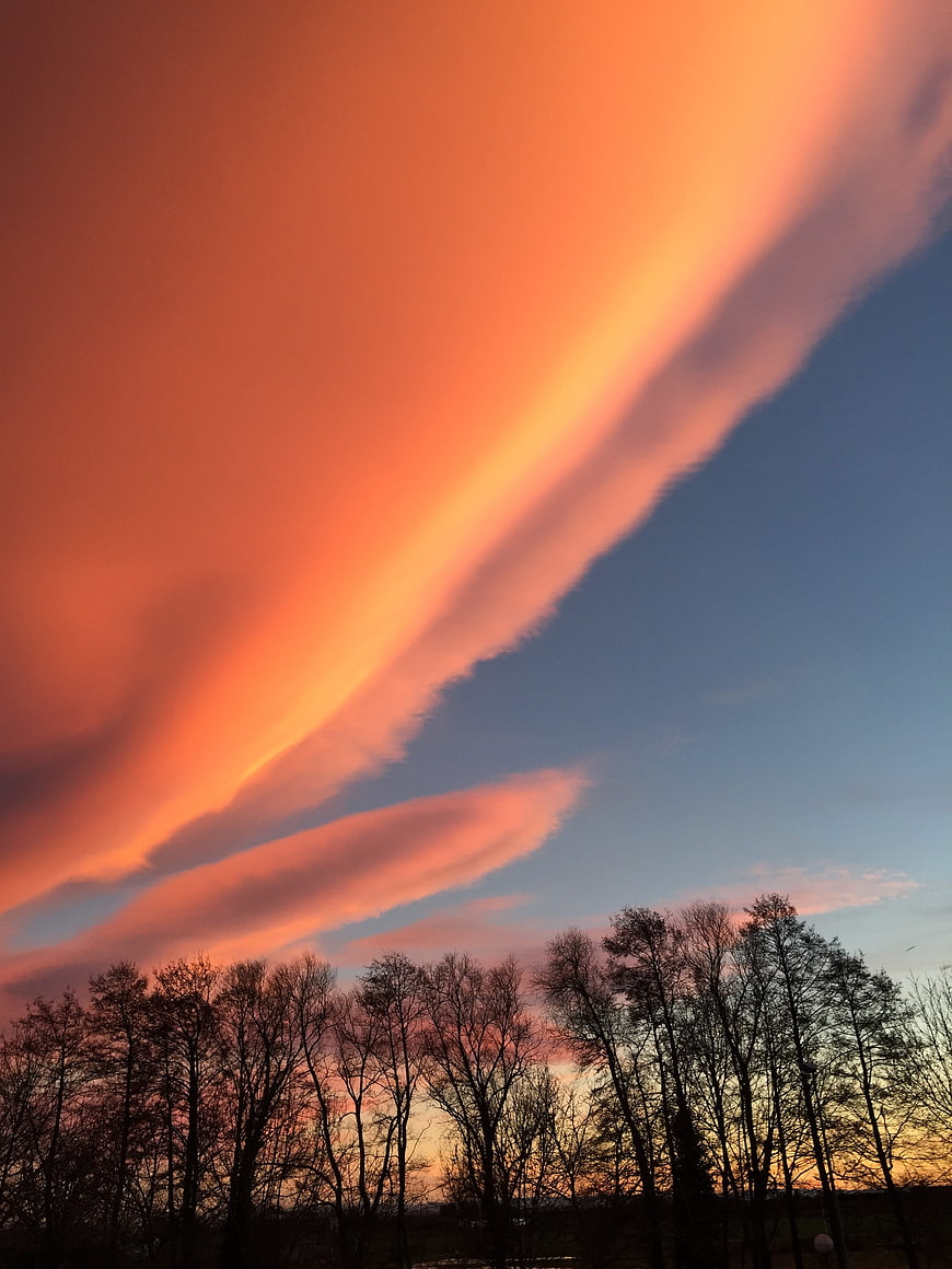 Dramatic orange sunset clouds over silhouetted trees