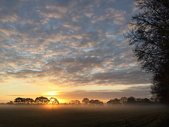 Misty Sunrise Over Rural Landscape with Silhouetted Trees