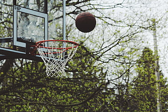 Basketball in mid-air near hoop against spring trees