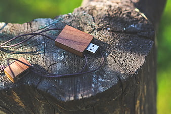 Wooden USB flash drive on tree stump