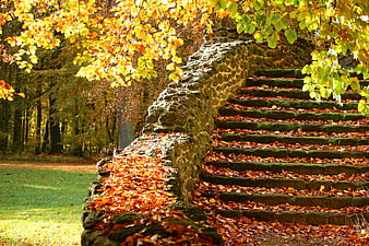 Mossy Stone Stairs Covered in Autumn Leaves in a Park