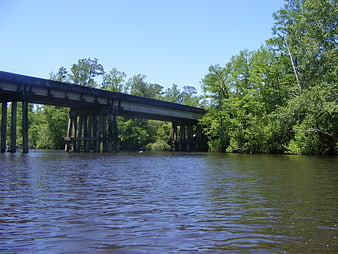 Old Concrete Railroad Bridge Spanning A Calm River In A Forest