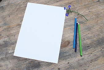 Blank White Paper with Colored Pencils and Blue Flower on Rustic Wood