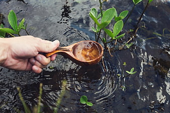 Hand Scooping Water with Wooden Spoon in Stream