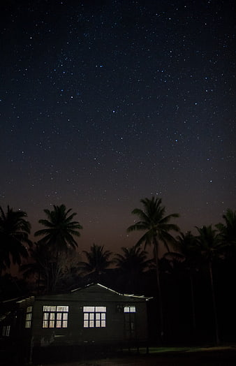 Starry Night Sky Over Tropical Palm Trees and Small House
