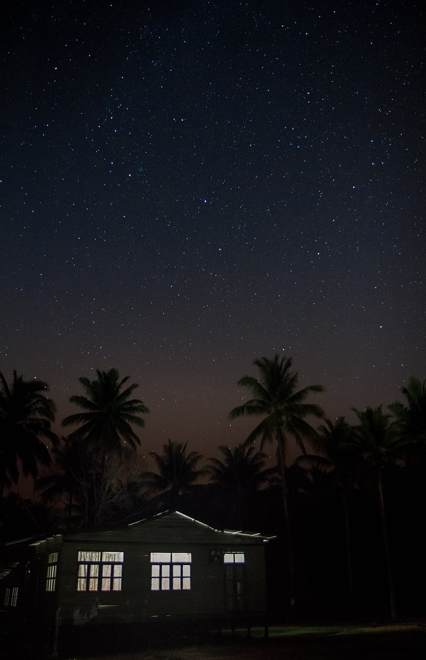 Starry Night Sky Over Tropical Palm Trees and Small House