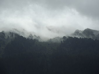 Misty mountain landscape with fog rolling over dark forest