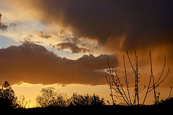 Dramatic Sunset Sky with Silhouetted Trees and Clouds