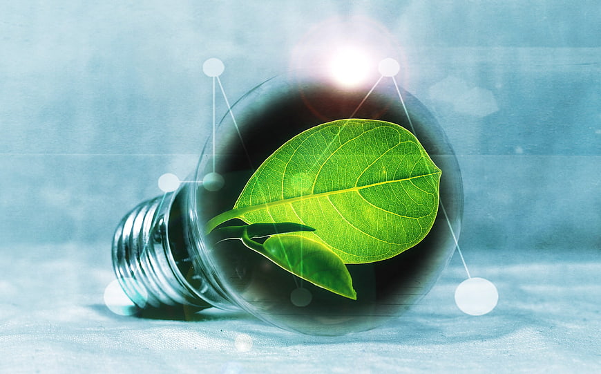 Green leaf inside lightbulb symbolizing renewable energy