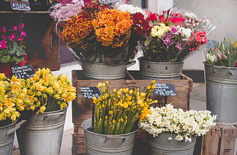 Colorful Spring Flower Bouquets in Metal Buckets at Market Stall