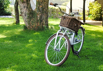White bicycle with wicker basket on green lawn