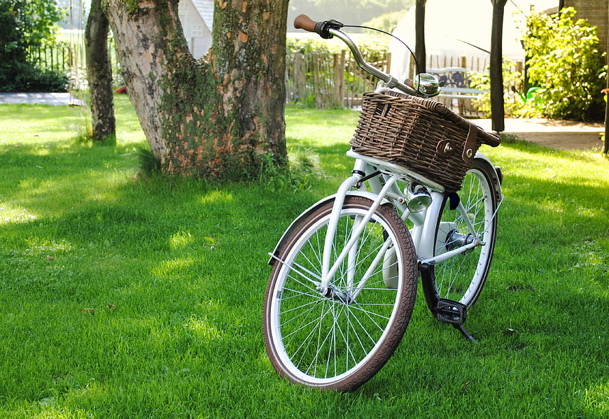 White bicycle with wicker basket on green lawn
