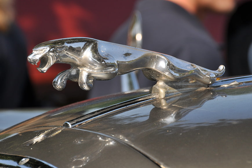 Close-up of classic Jaguar car hood ornament