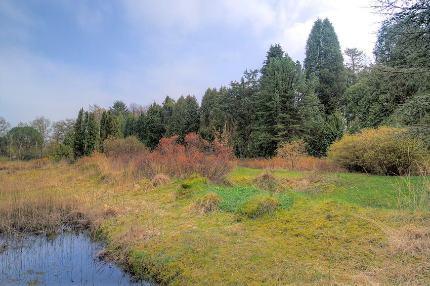 Serene landscape with stream, evergreen trees, and autumn foliage