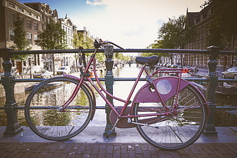 Pink Bicycle Parked on Amsterdam Canal Bridge