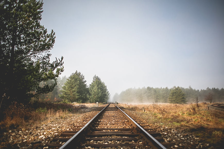 Foggy railroad tracks leading through pine forest landscape